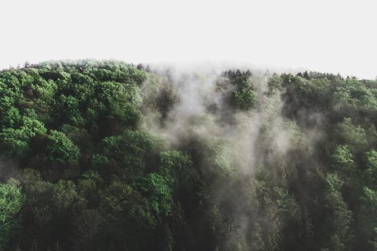 découvrez comment créer un environnement apaisant qui favorise la relaxation et le bien-être. transformez votre espace en un havre de paix grâce à des éléments naturels, des couleurs douces et une décoration zen.