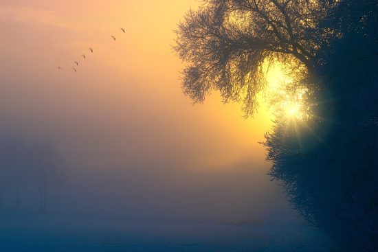 découvrez l'art du gentle awakening, une approche douce et attentive pour commencer la journée en harmonie. apprenez des techniques de réveil apaisantes qui favorisent la sérénité et le bien-être dès le matin.