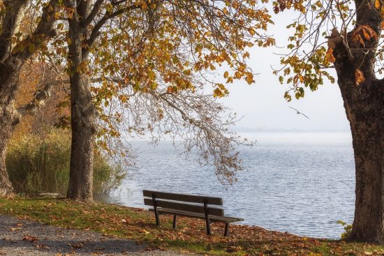 découvrez la sérénité à travers des pratiques apaisantes, des espaces de relaxation et des conseils pour cultiver la paix intérieure. plongez dans un univers calmant qui vous aide à échapper au stress quotidien et à retrouver votre équilibre.