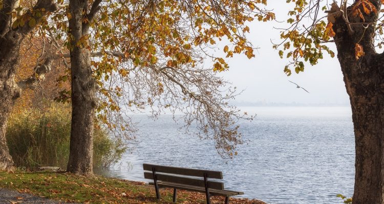 découvrez la sérénité à travers des pratiques apaisantes, des espaces de relaxation et des conseils pour cultiver la paix intérieure. plongez dans un univers calmant qui vous aide à échapper au stress quotidien et à retrouver votre équilibre.