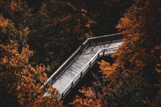 découvrez le mindfulness, une pratique de pleine conscience qui aide à réduire le stress, à améliorer la concentration et à favoriser le bien-être. apprenez des techniques simples pour intégrer la méditation et la présence au quotidien.