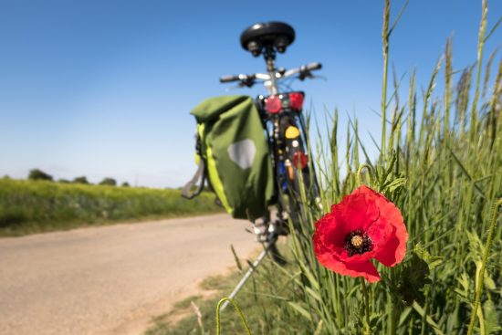 découvrez des conseils et des astuces pour une vie saine. explorez des sujets variés comme la nutrition, l'exercice physique, le bien-être mental et les dernières tendances en matière de santé.