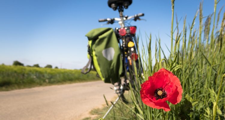 découvrez des conseils et des astuces pour une vie saine. explorez des sujets variés comme la nutrition, l'exercice physique, le bien-être mental et les dernières tendances en matière de santé.