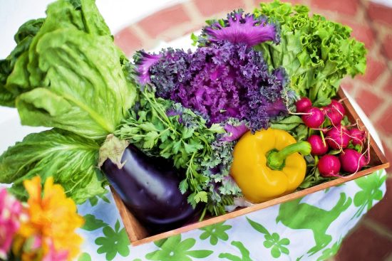 découvrez l'art du jardinage de légumes ! apprenez à cultiver vos propres légumes frais et sains, avec des conseils pratiques sur le choix des plantes, l'entretien du sol et la lutte contre les nuisibles. transformez votre jardin en un potager florissant et savourez les bienfaits de la récolte maison.