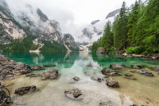 découvrez la beauté époustouflante de la nature à travers nos articles inspirants. explorez les paysages, la faune et la flore qui font de notre planète un endroit unique, tout en apprenant comment protéger et préserver notre environnement.