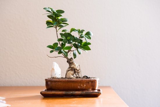 découvrez comment optimiser votre espace de vie pour un confort maximal. des conseils de décoration, d'aménagement et d'organisation pour créer un intérieur harmonieux et fonctionnel qui reflète votre style.