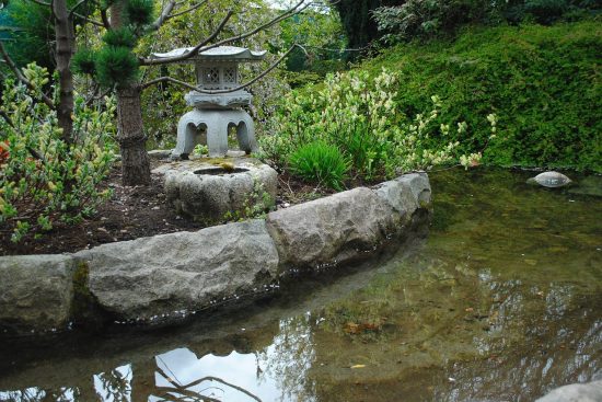 découvrez les couleurs apaisantes qui transforment votre espace en un havre de paix. explorez comment les teintes douces et sereines peuvent influencer votre bien-être et créer une ambiance relaxante chez vous.