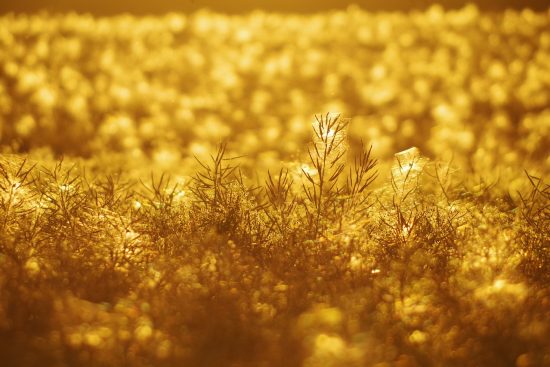découvrez comment la lumière naturelle transforme vos espaces de vie, améliore votre bien-être et favorise une ambiance chaleureuse. apprenez à maximiser l'éclairage naturel dans votre intérieur pour un environnement plus sain et agréable.