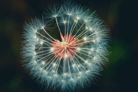 découvrez l'importance et les avantages de la lumière naturelle dans votre espace de vie. apprenez comment maximiser son utilisation pour améliorer votre bien-être, votre productivité et l'esthétique de votre intérieur.