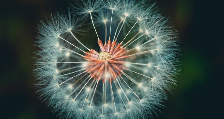 découvrez l'importance et les avantages de la lumière naturelle dans votre espace de vie. apprenez comment maximiser son utilisation pour améliorer votre bien-être, votre productivité et l'esthétique de votre intérieur.