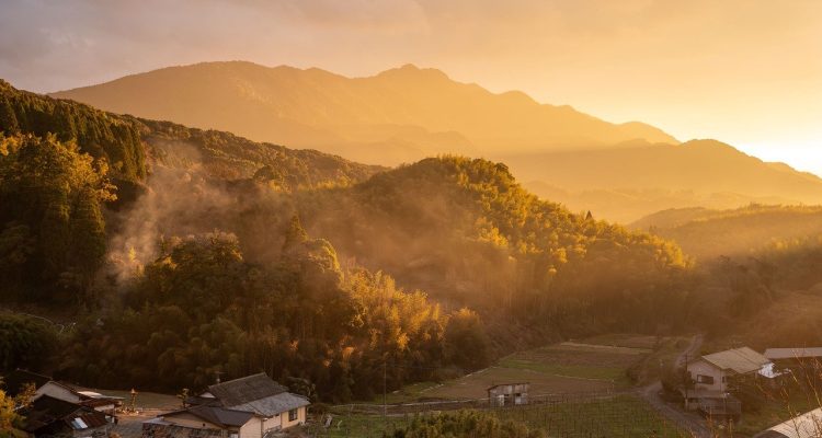 découvrez les nombreux avantages de la lumière naturelle pour votre bien-être, votre santé mentale et votre productivité. apprenez comment intégrer la lumière du jour dans votre environnement pour améliorer votre qualité de vie.