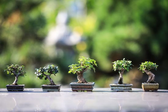 découvrez l'univers de la sérénité et du bien-être avec zen. plongez dans des techniques de relaxation, des pratiques de méditation et des conseils pour vivre en harmonie avec vous-même et votre environnement.