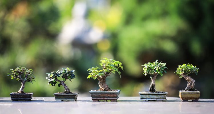 découvrez l'univers de la sérénité et du bien-être avec zen. plongez dans des techniques de relaxation, des pratiques de méditation et des conseils pour vivre en harmonie avec vous-même et votre environnement.